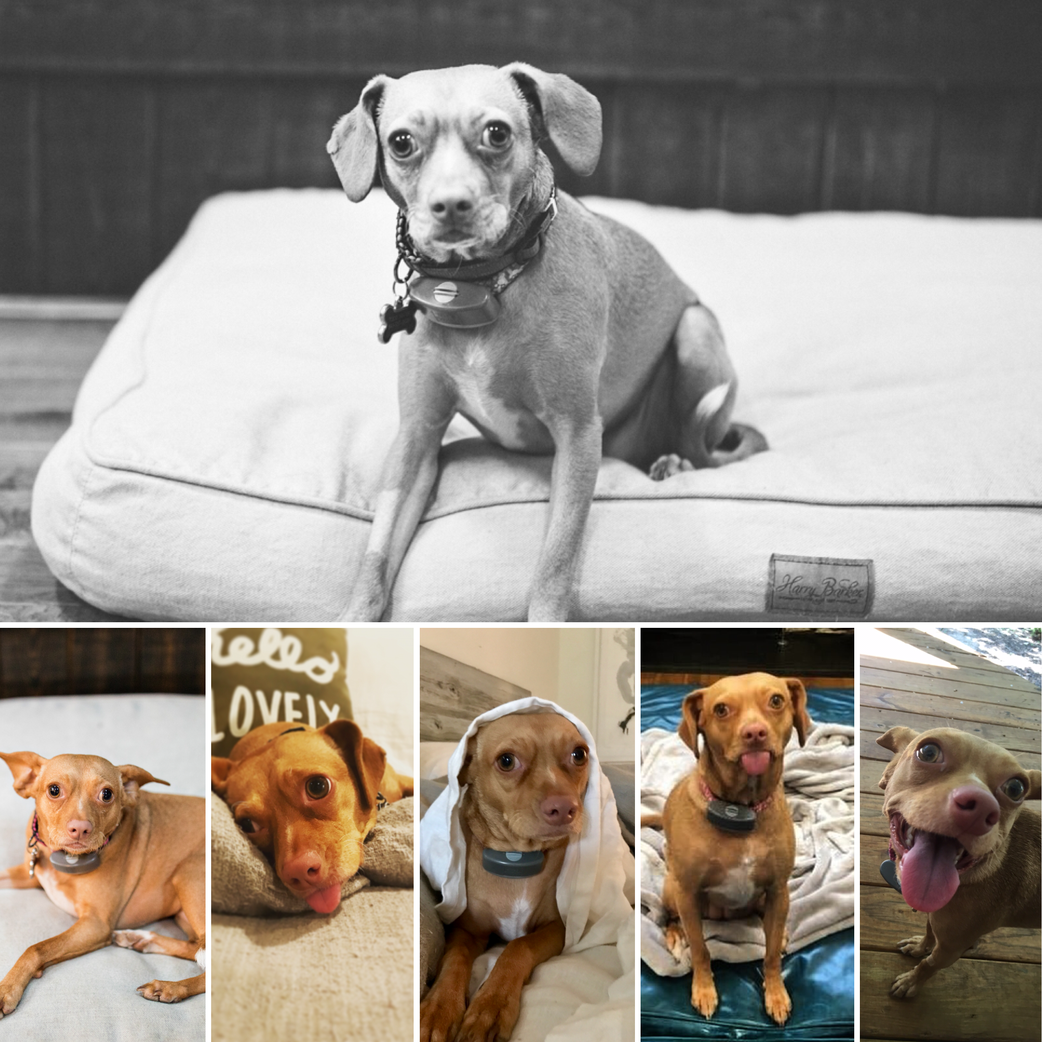 File Jan 18, 4 22 26 PM