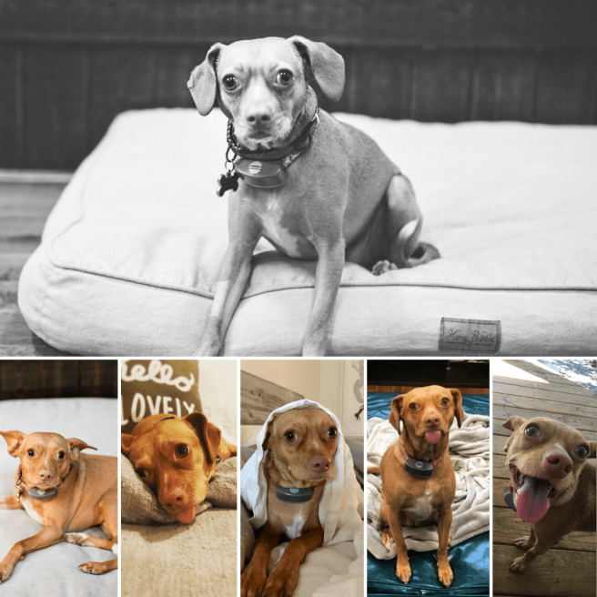 File Jan 18, 4 22 26 PM